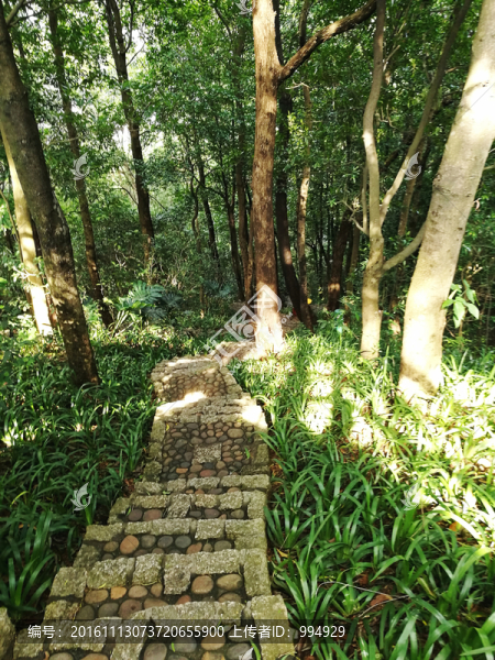 筆架山登山道