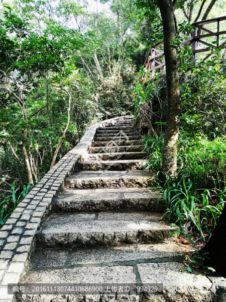 筆架山公園登山道