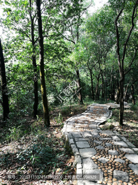 筆架山登山道