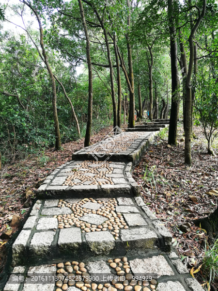 筆架山登山路
