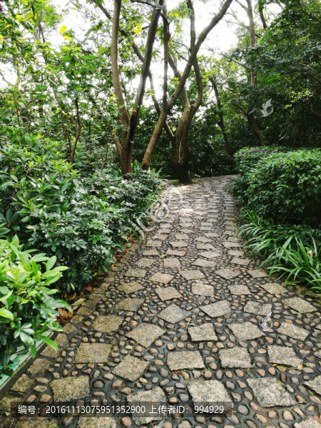 筆架山山路