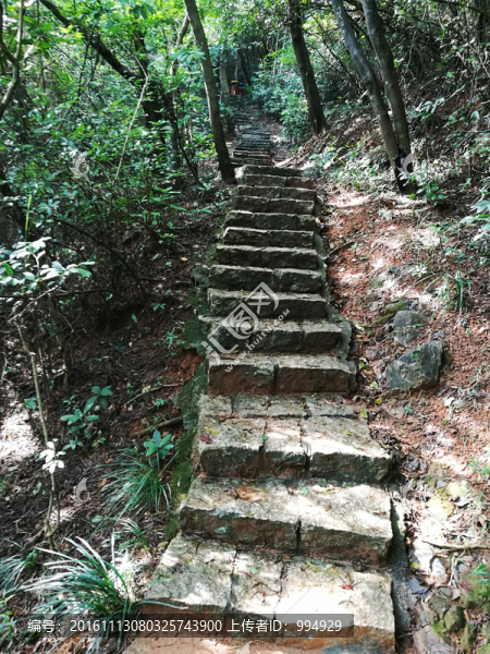 筆架山公園山路