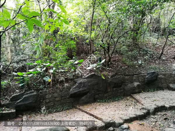 筆架山公園山路