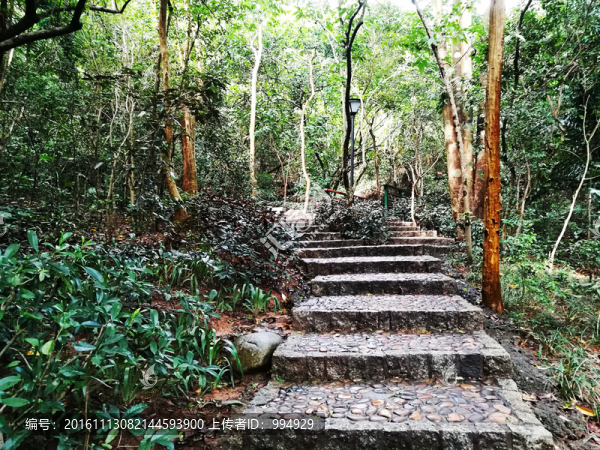 筆架山公園登山小徑