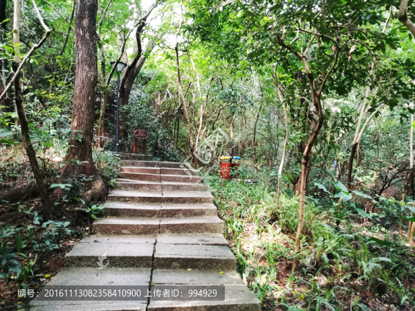 筆架山公園登山階梯