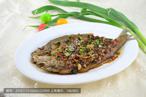 翹嘴魚