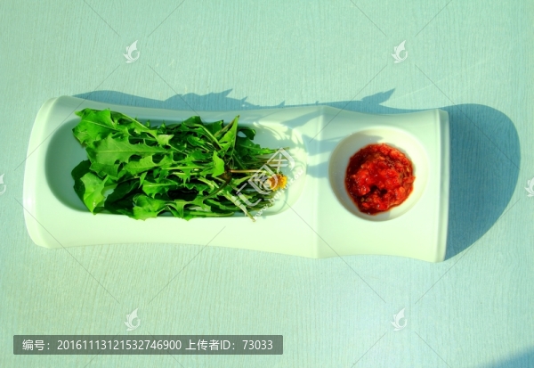 蒲公英