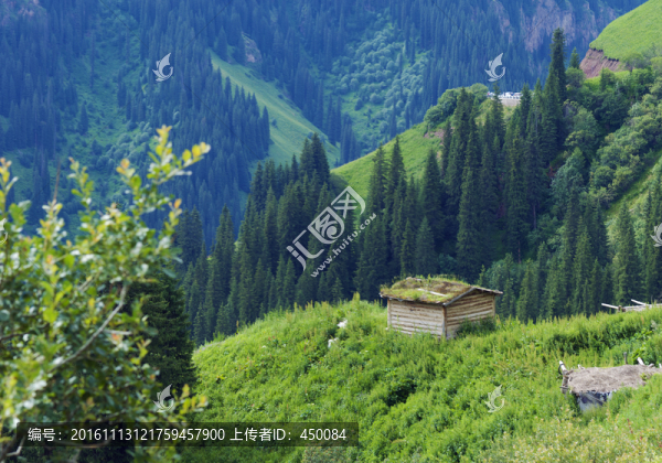 天山