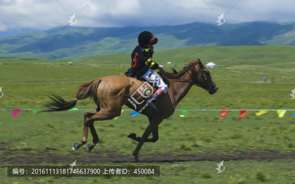 賽馬