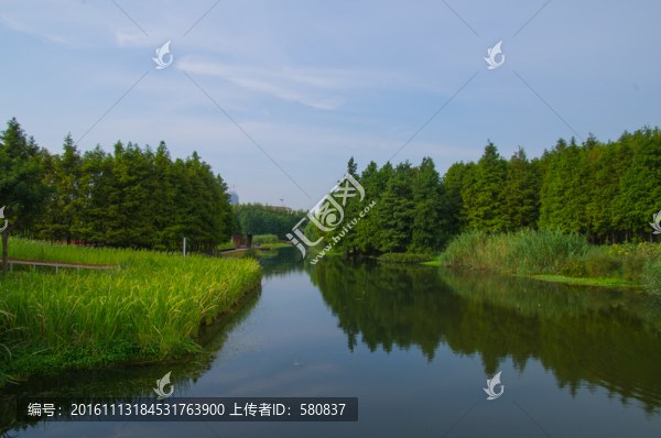 上海風光