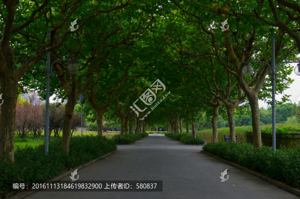 上海風(fēng)光