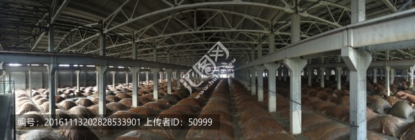 酒廠發(fā)酵圖片