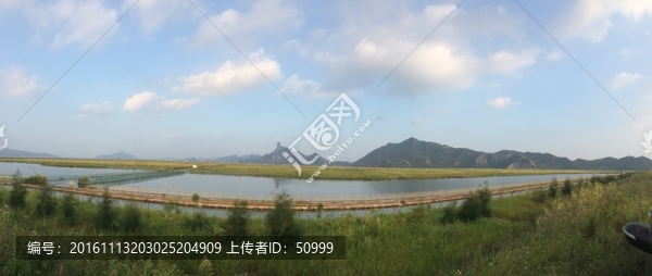 藍天池塘
