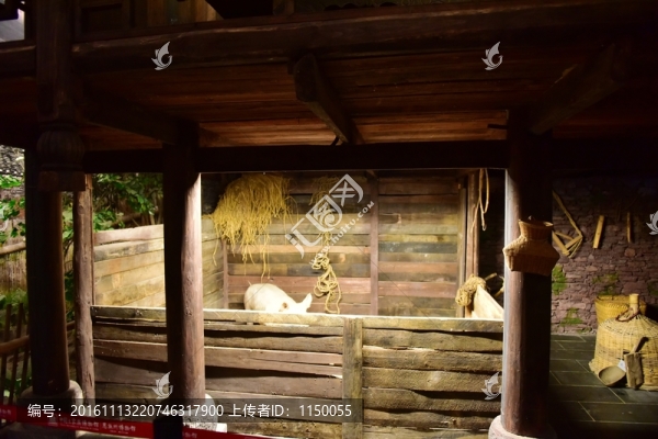 養(yǎng)豬