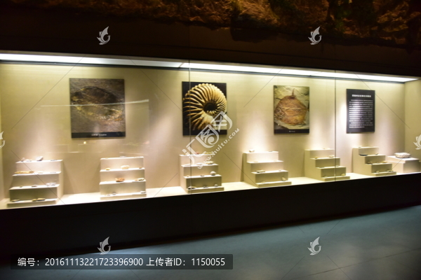 中草藥標(biāo)本展示廳
