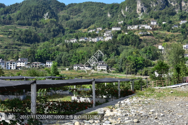 新農(nóng)村田野田園風(fēng)景