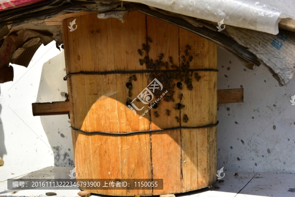 農(nóng)村蜂桶蜜蜂
