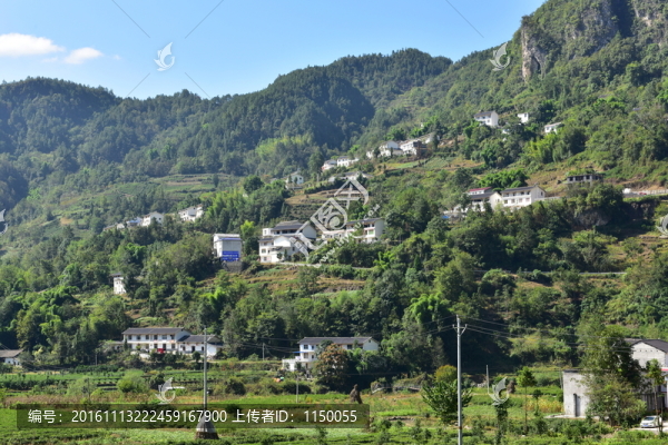 新農(nóng)村田野田園風(fēng)景