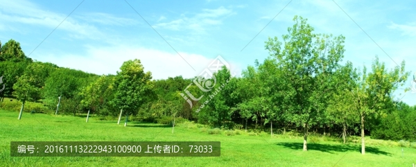 綠地