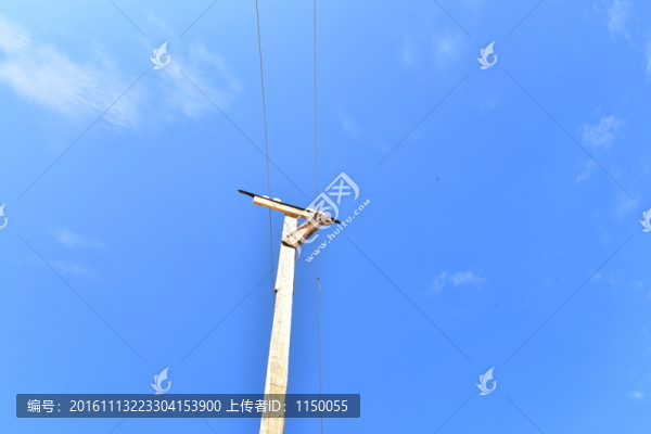 電線桿