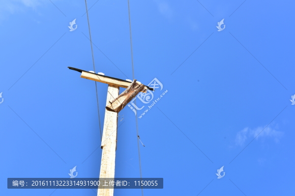 電線桿