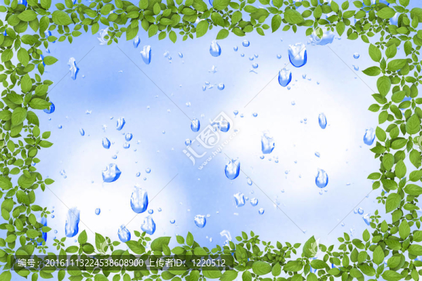 水滴和植物框架