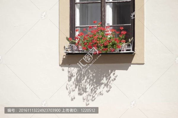 歷史悠久的房子窗戶和鮮花