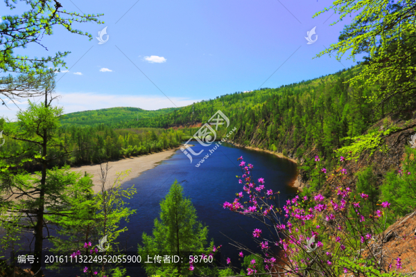 森林河之春