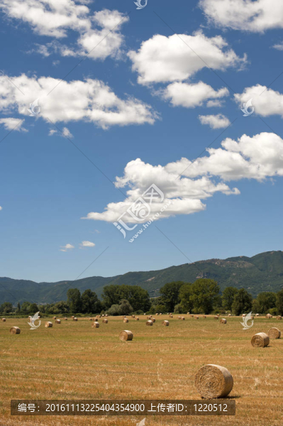 拉齊奧大區(qū)和翁布里亞大區(qū)之間的景觀（意大利）在夏天