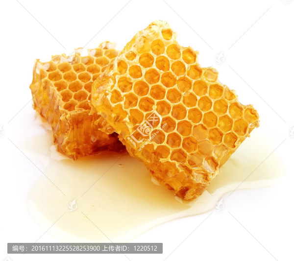 蜂窩