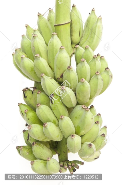 綠色香蕉果