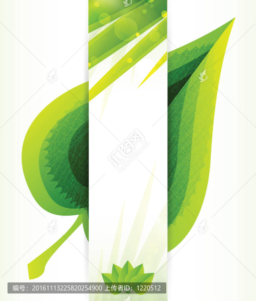 綠葉結(jié)構(gòu)