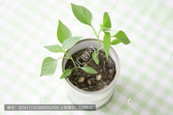 錫罐中的一個小工廠