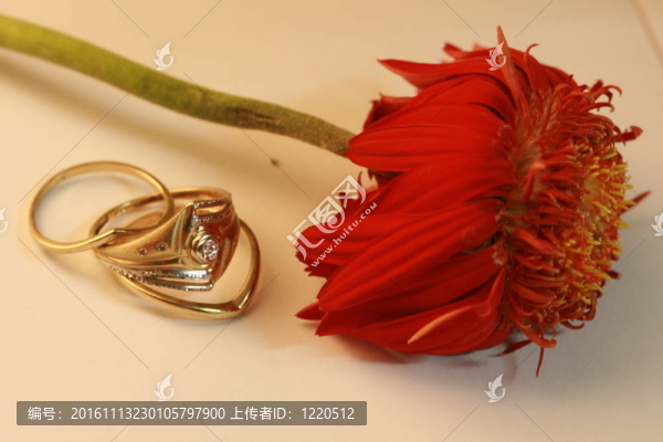 愛的花朵