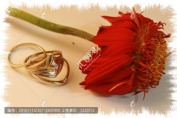 紅色的花