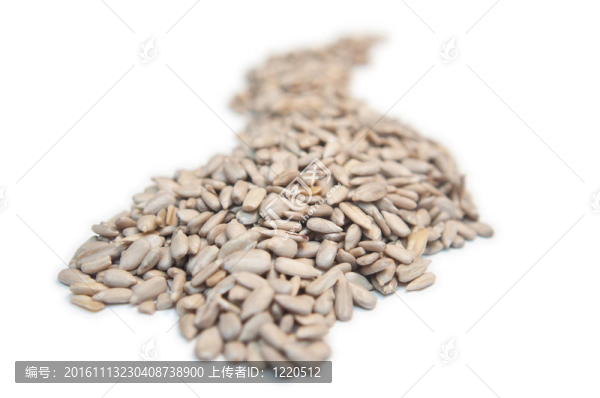 葵花籽