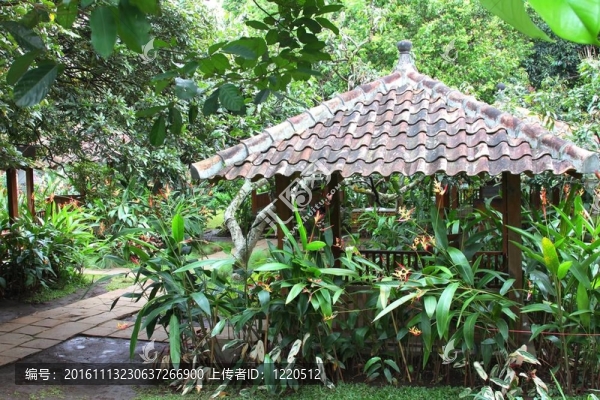 度假小屋01