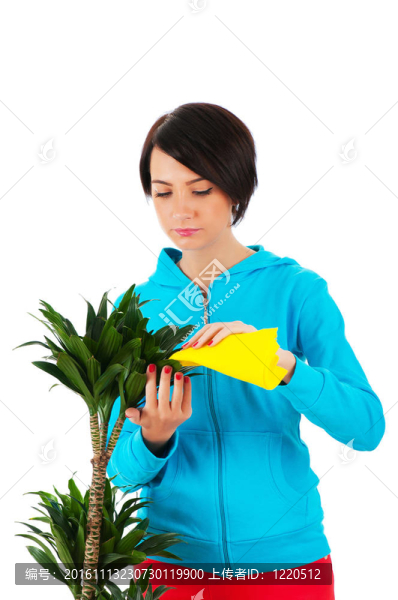 年輕女子澆水白色植物隔離