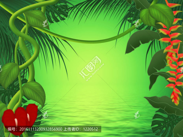 夕陽(yáng)在叢林
