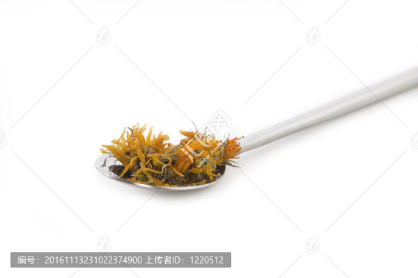 萬壽菊、金盞菊
