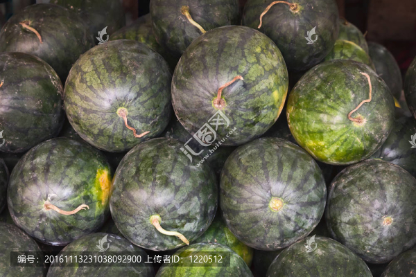 新鮮的西瓜堆-匯圖網(wǎng) www.fosd68.com 新鮮的西瓜堆