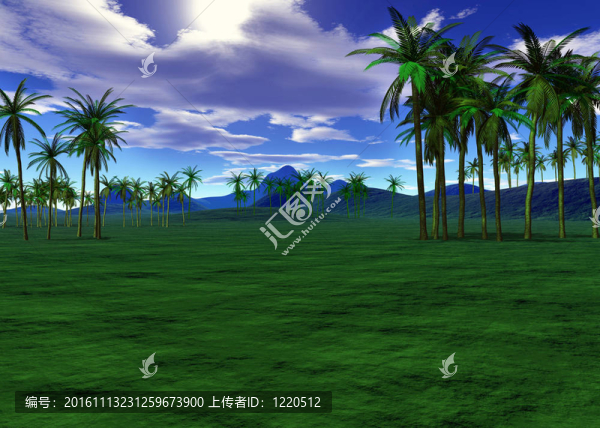 豐富多彩的熱帶景觀