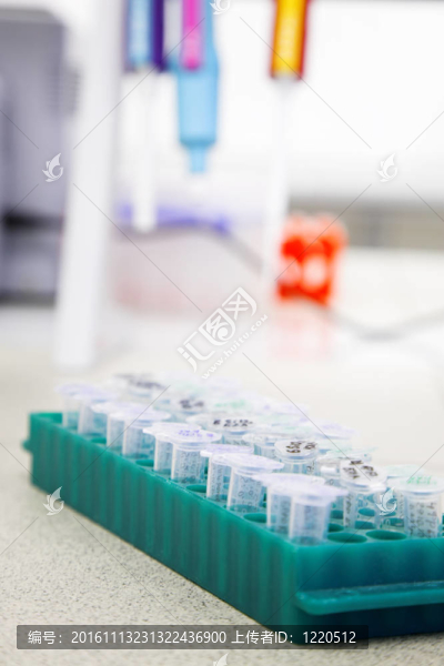 微生物科學