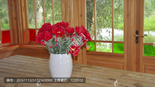 紅色的花