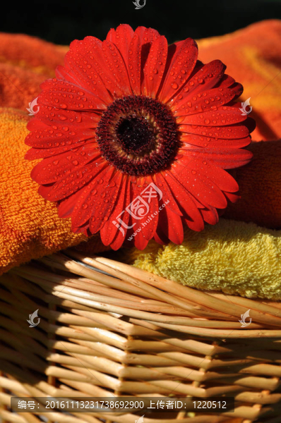 洗衣店-匯圖網(wǎng) www.fosd68.com 洗衣店