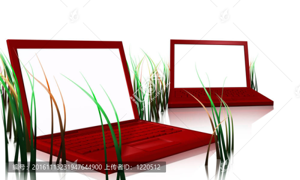 紅色設(shè)計師筆記本電腦和草