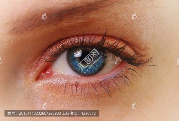 女性的眼睛