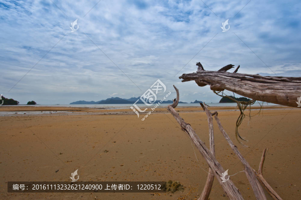 熱帶海灘