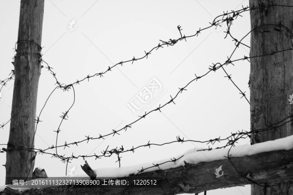 鐵絲網(wǎng)和籬笆