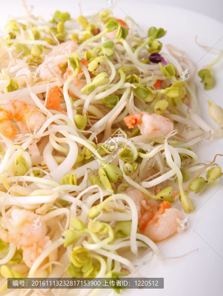 大豆豆芽蝦